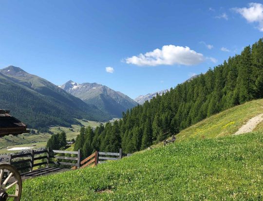 Emozioni da vivere in estate