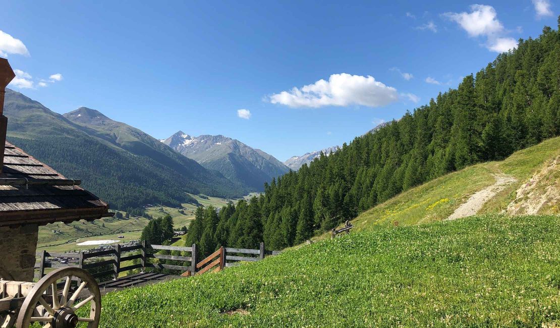 Emozioni da vivere in estate